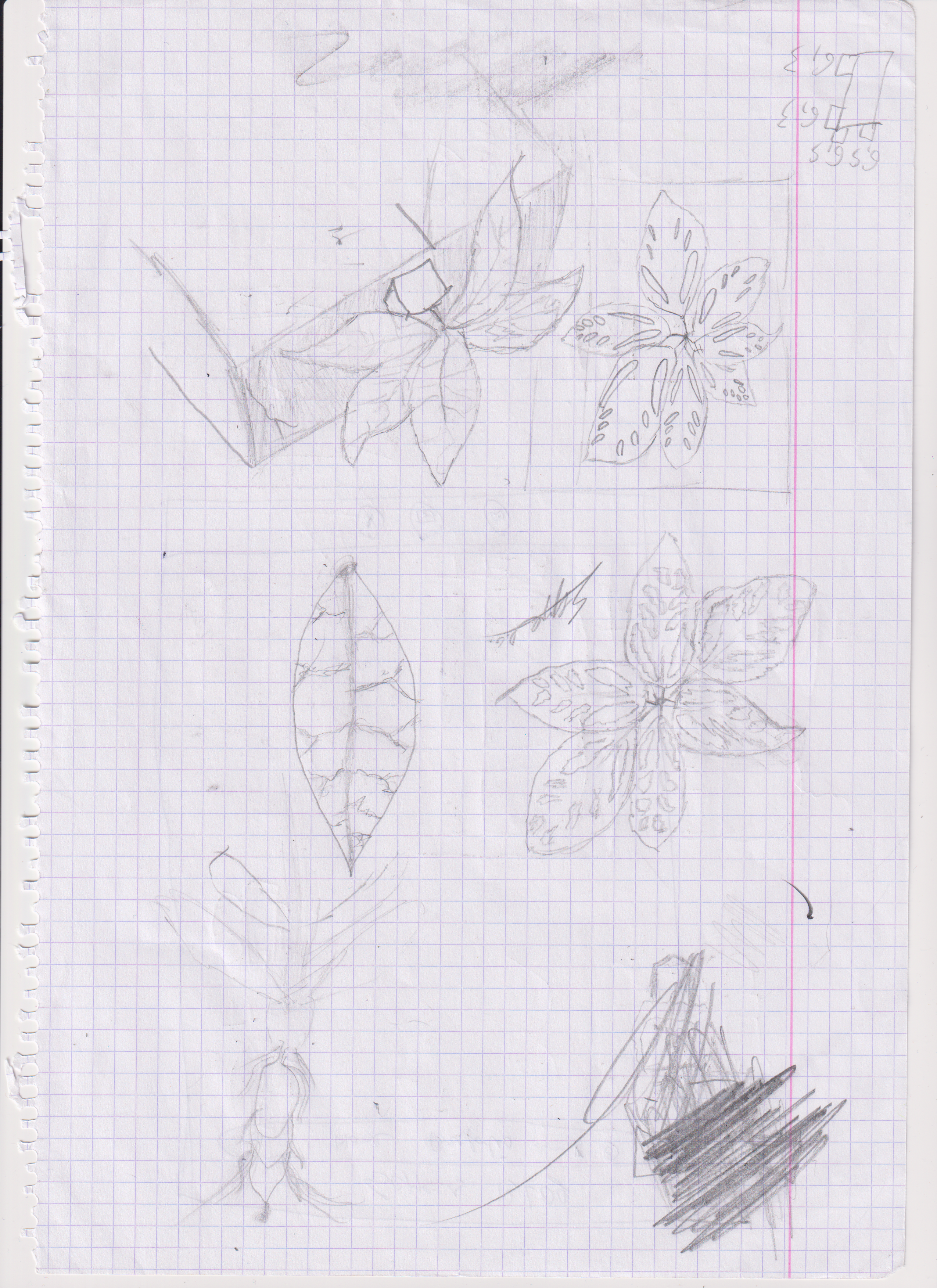 Foto van Patroon Multible